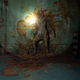 El hongo de The Last of Us funciona diferente en la serie
